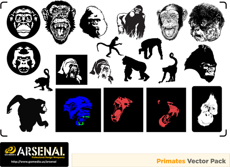 Vector de Gomedia Gorilas And Monkeys Produced Vector de Gomedia Gorilas And Monkeys Produced