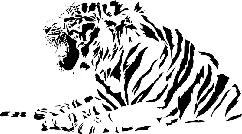 Both Black And White Tiger Vector Both Black And White Tiger Vector