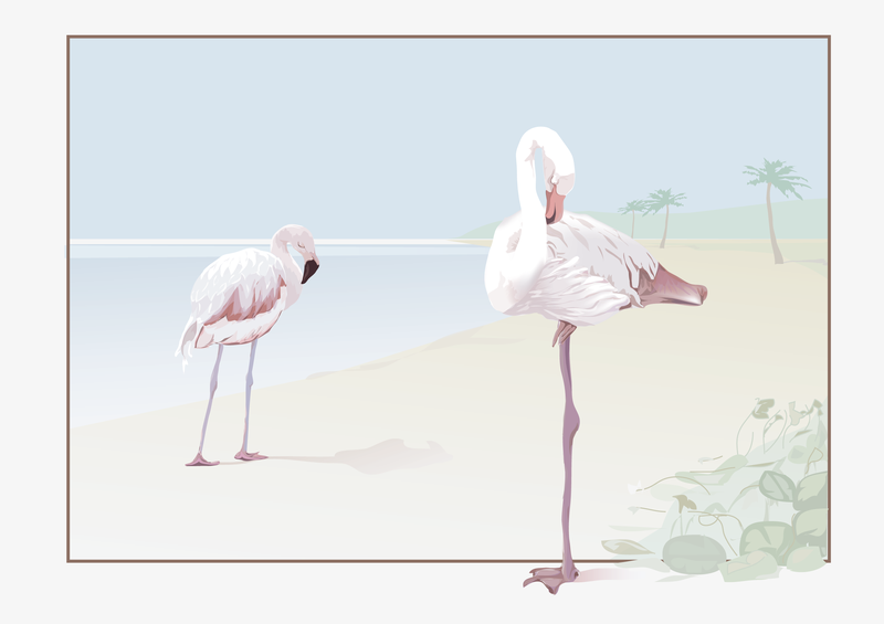Flamingo Vector Flamingo Vector