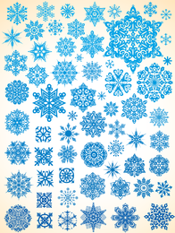 Variedade de flocos de neve vetor 1