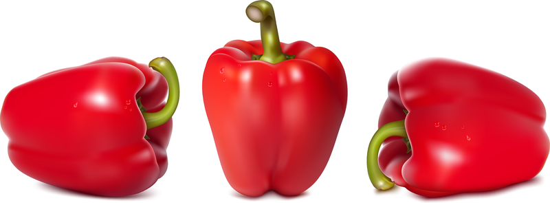 Fine Chili Peppers Vector Fine Chili Peppers Vector