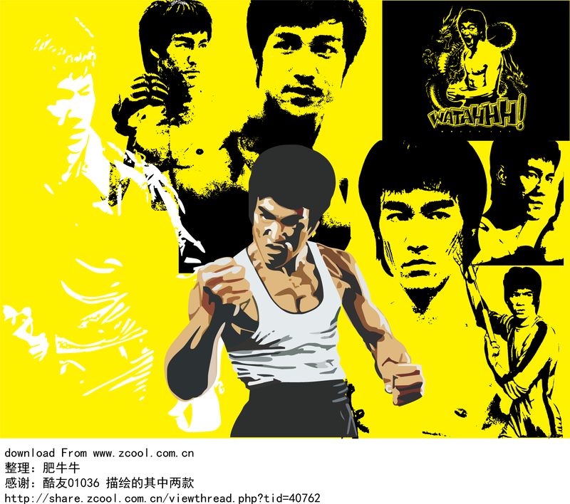 Vetor Bruce Lee