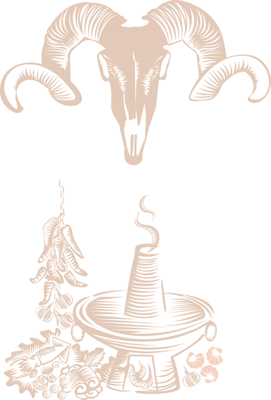 Pot Vector Pot Vector