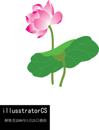 Lotus Cg imitar