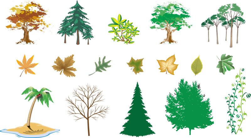 Árvores Vector Series