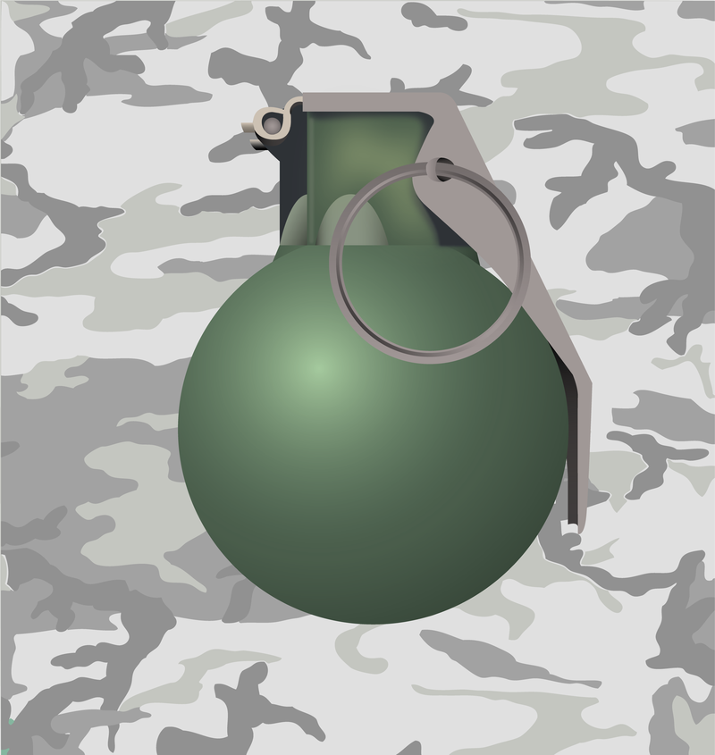 Ilustración de granada