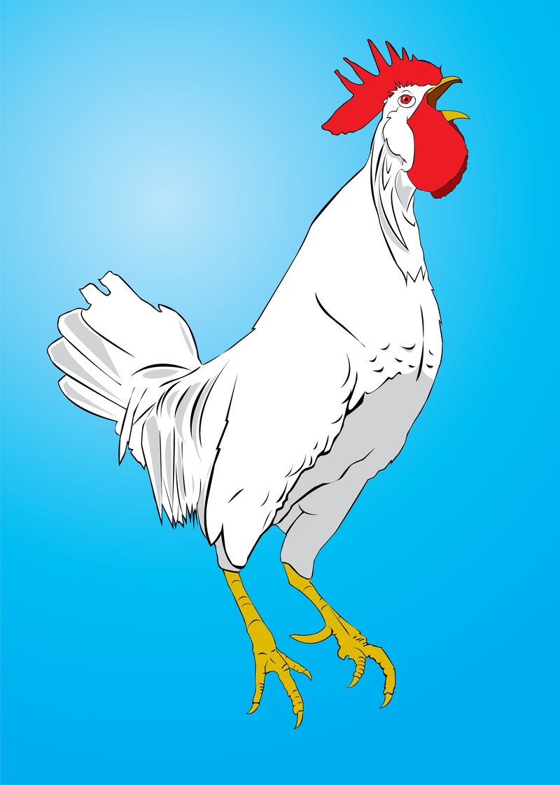 Hühnervektor