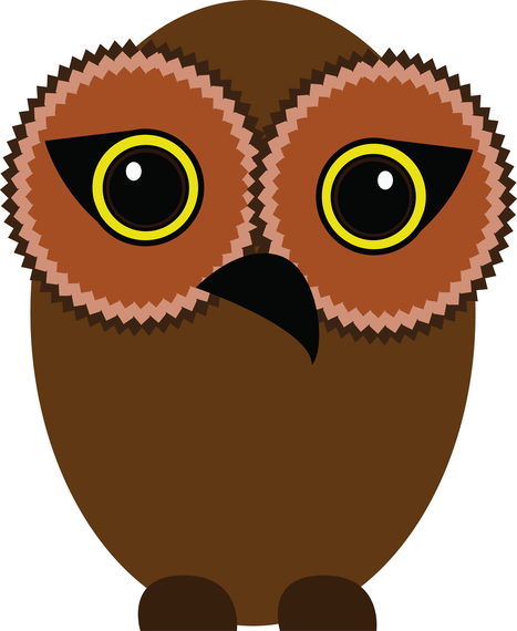 Owl Owl