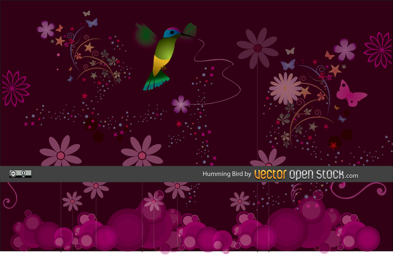 Humming Bird Background Humming Bird Background