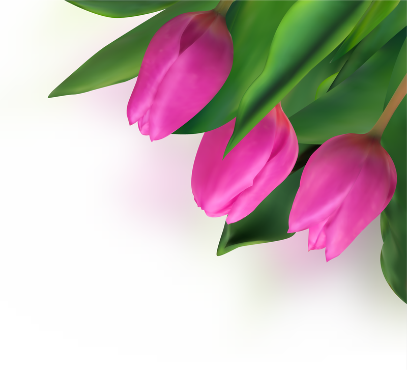 Tulipanes brillantes 04 Vector