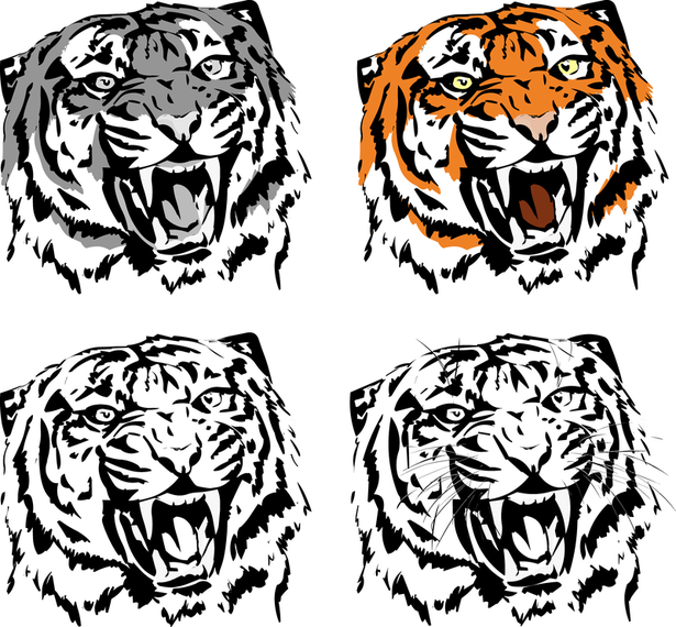 Tiger Image 05 Vector Tiger Image 05 Vector