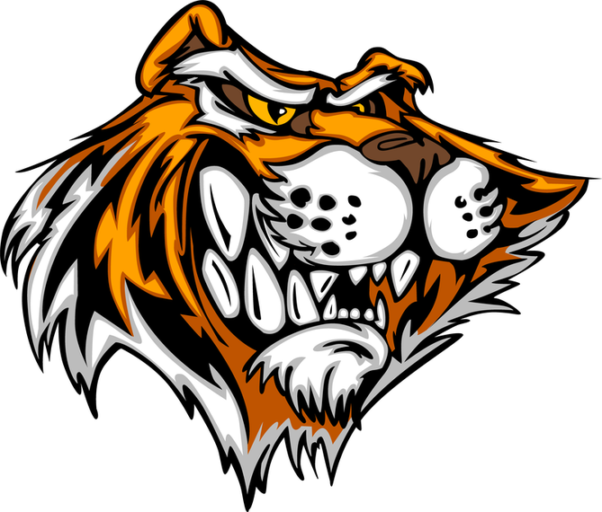 Tiger Image 21 Vector Tiger Image 21 Vector