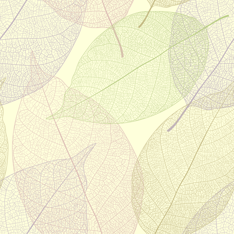 Transparent leaves illustration design