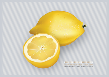 3d Zitronen-Frucht-Vektor