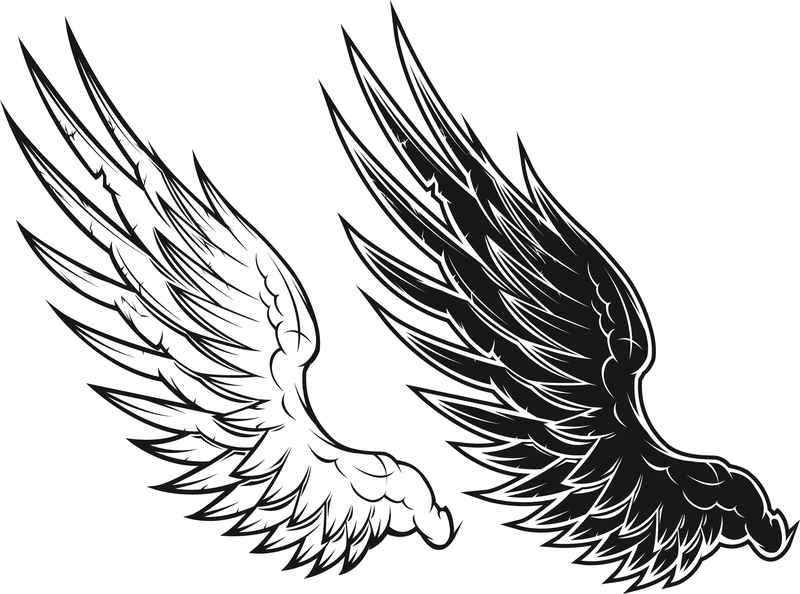 Black And White Vector Wings Black And White Vector Wings - Vector download