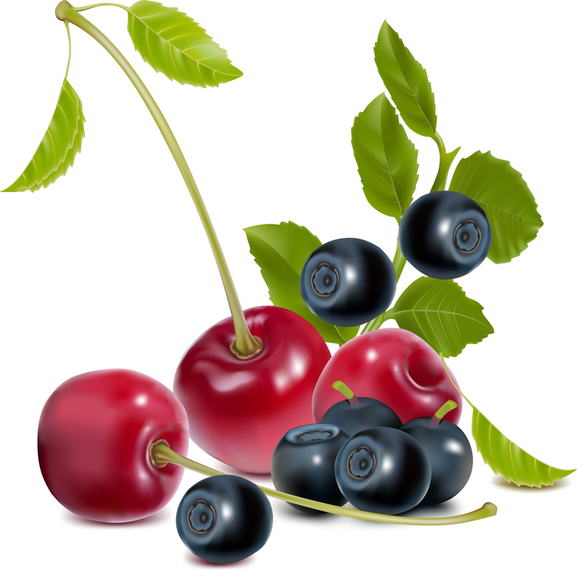 Vector de tema de frutas y verduras Vector de tema de frutas y verduras