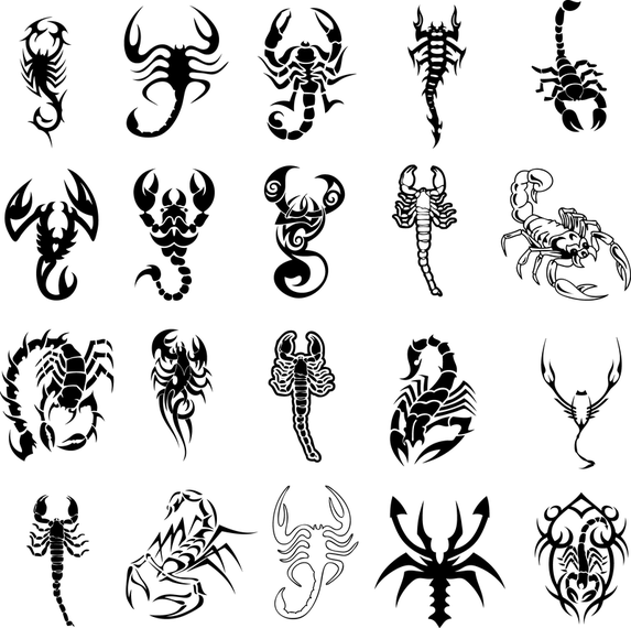 Scorpion Totem Vector Scorpion Totem Vector