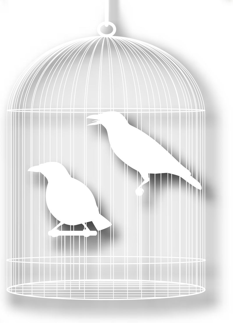 Bird Cage With Papercuts Vector 3