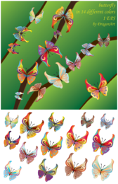 Vector Butterfly para descarga gratuita