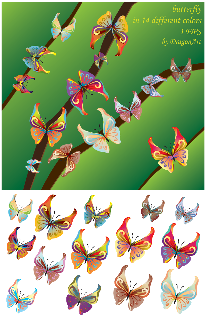 Vector Butterfly for free Download