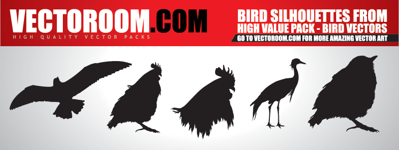 Bird vectors - Download Bird vectors - Download