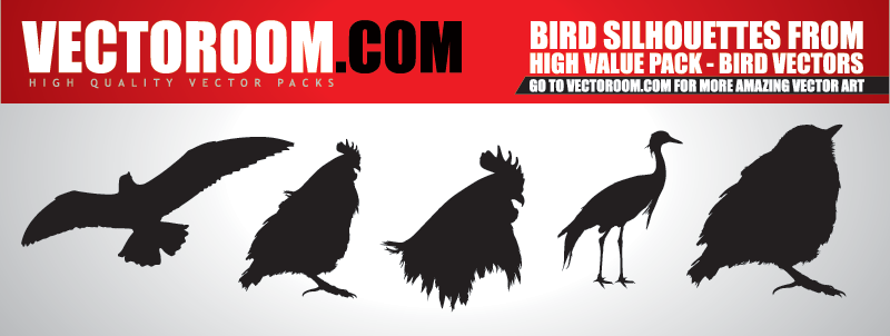 Vetores de pássaros - Download