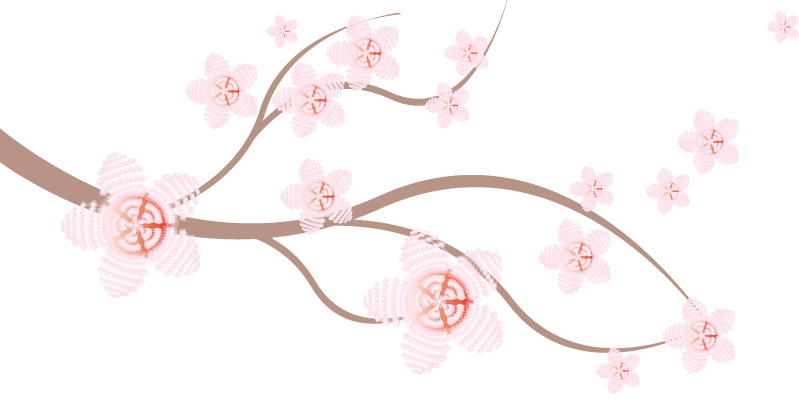 Cherry blossom branch illustration Cherry blossom branch illustration