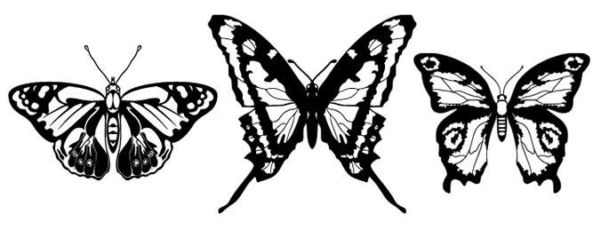 Three Vector Butterflies - Download Page Three Vector Butterflies - Download Page