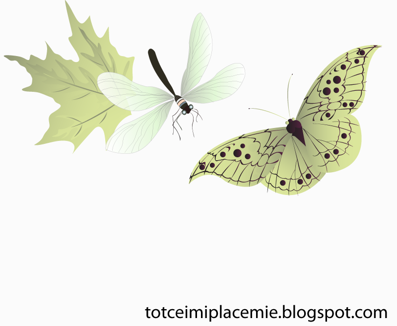 Schmetterling und Libelle Vektor