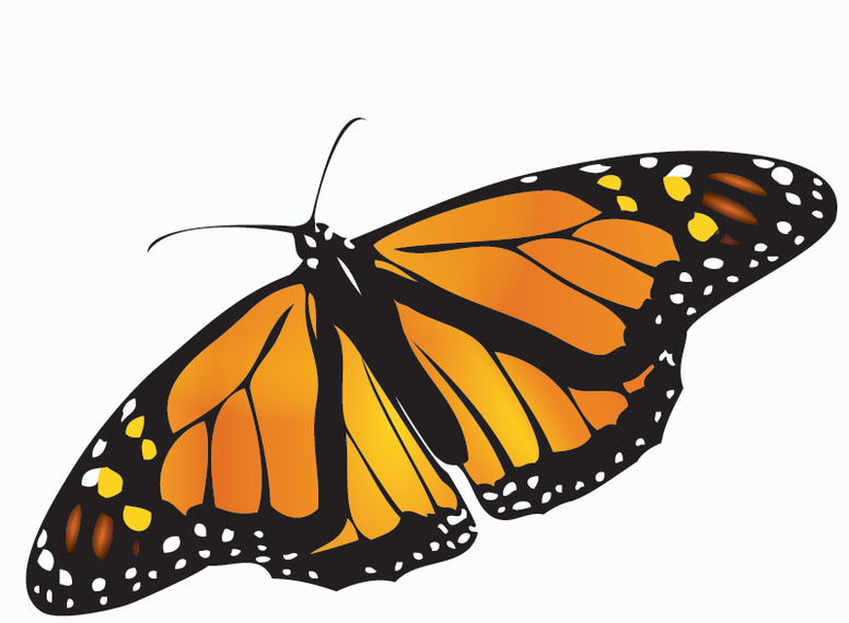 butterfly clipart photoshop - photo #33