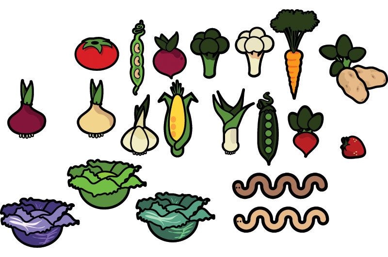 Gemüse Vektor Pack