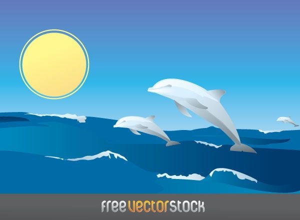 Delfine schwimmen auf dem Meer