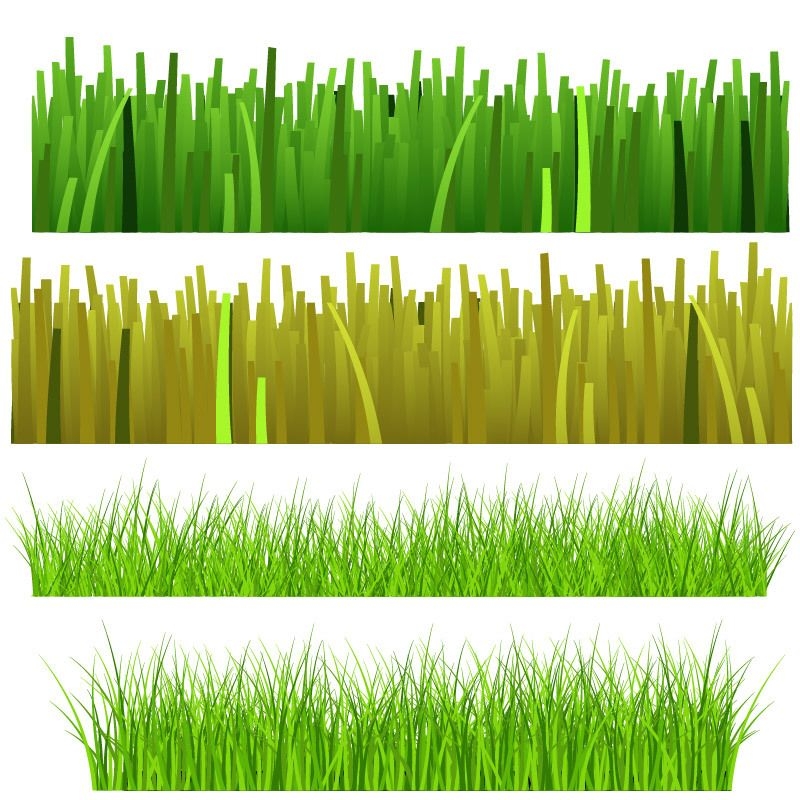 Conjunto de plantas de hierba y hierba