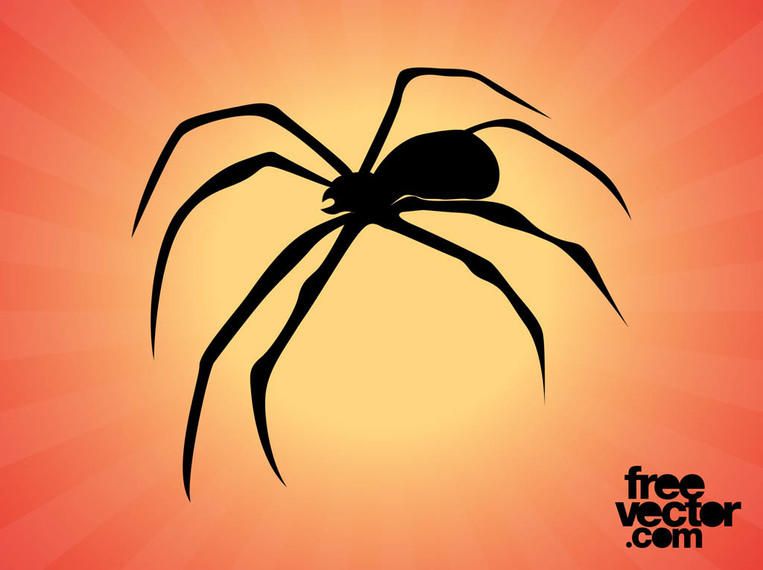 Silhueta de aranha com pernas curvas Silhueta de aranha com pernas curvas