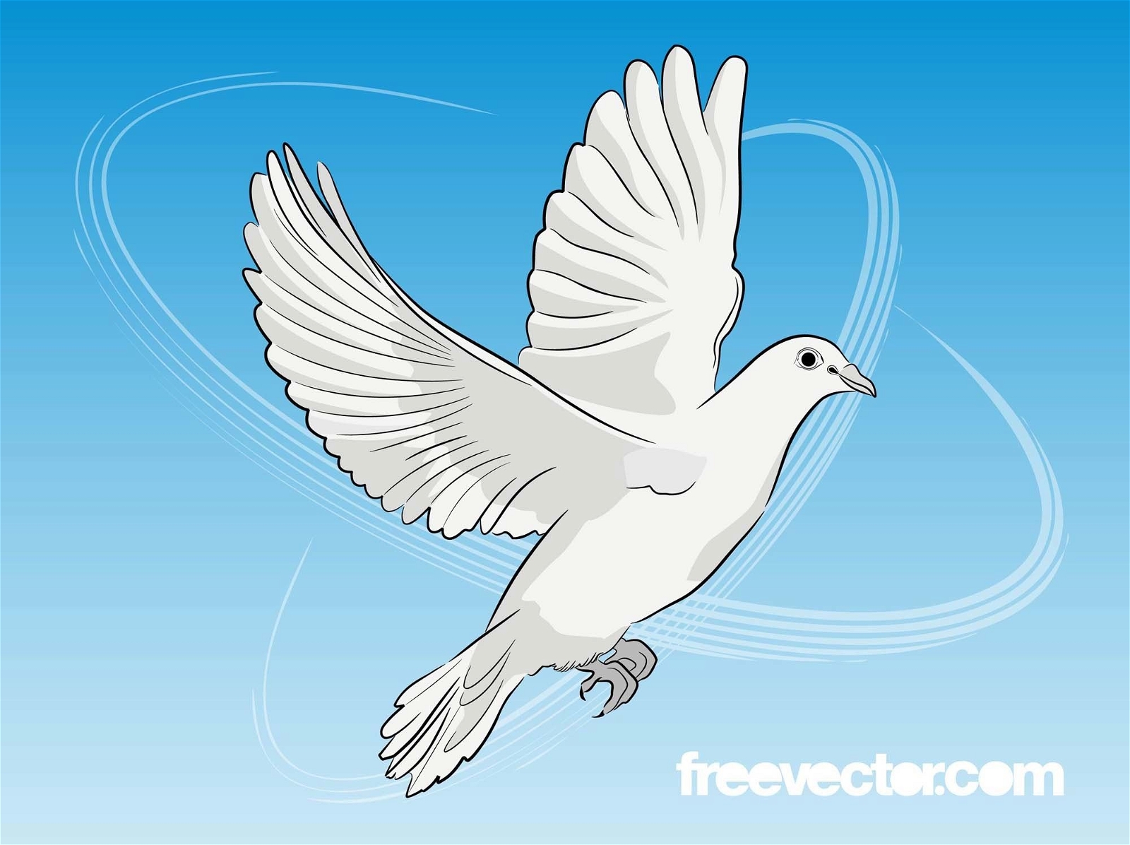 Flying Dove Black & White Sketch - Vector download