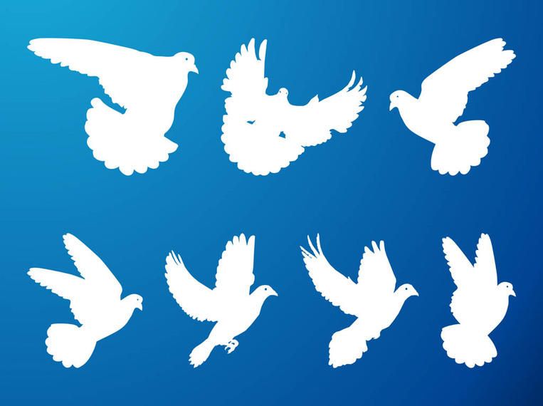 Silhouette Flying Pigeon Pack Silhouette Flying Pigeon Pack