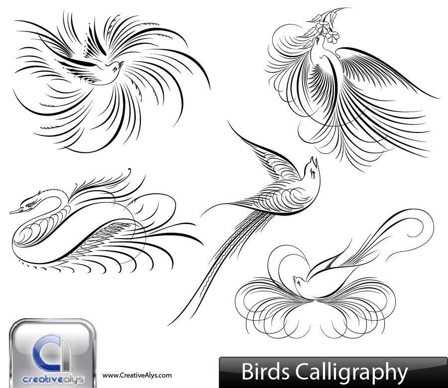 Paquete creativo de aves caligráficas