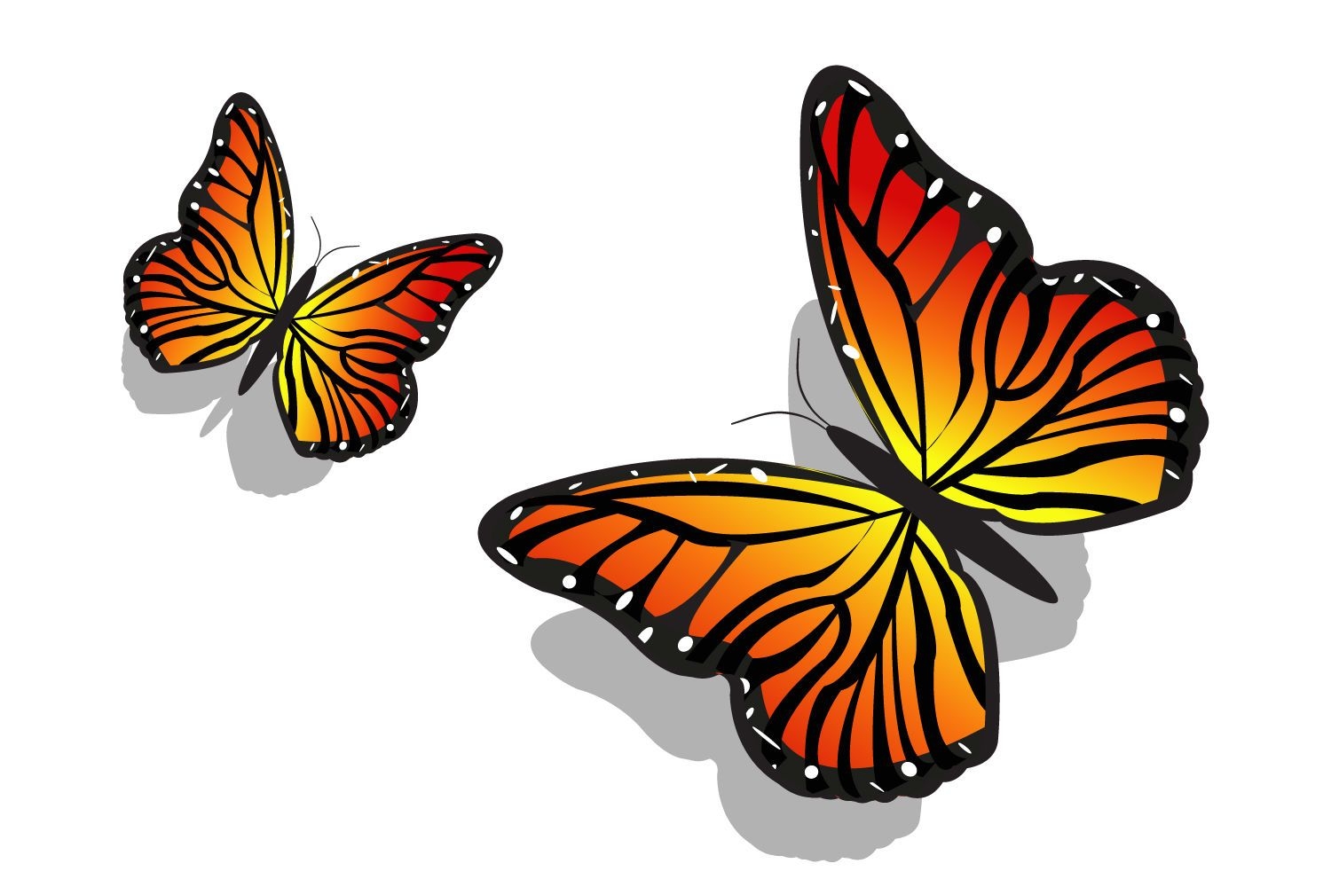Par de borboletas coloridas