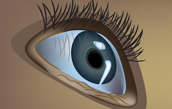 Close up Eye Close up Eye