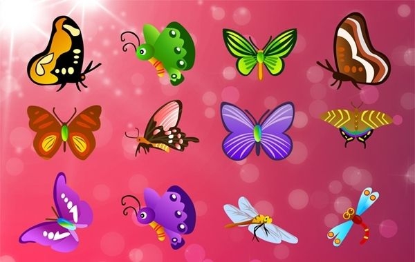 12 verschiedene Schmetterlinge