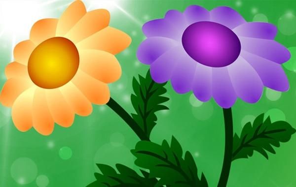 Free Vector Chrysanthemum Free Vector Chrysanthemum