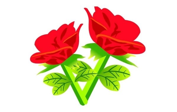 Flores de rosa vermelha de vetor grátis