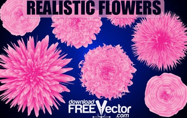 Vector libre de flores realistas