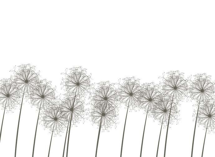 Dandelions - Vector download