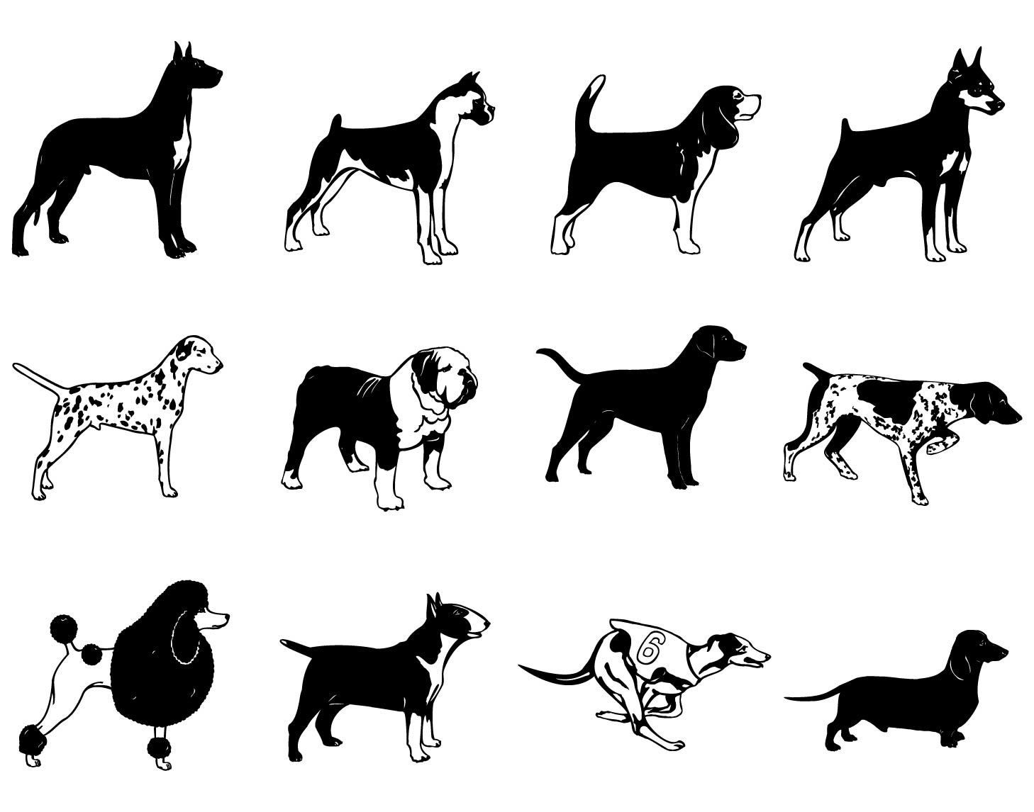 Blanco y negro Raza del perro Silueta Paquete Descargar vector