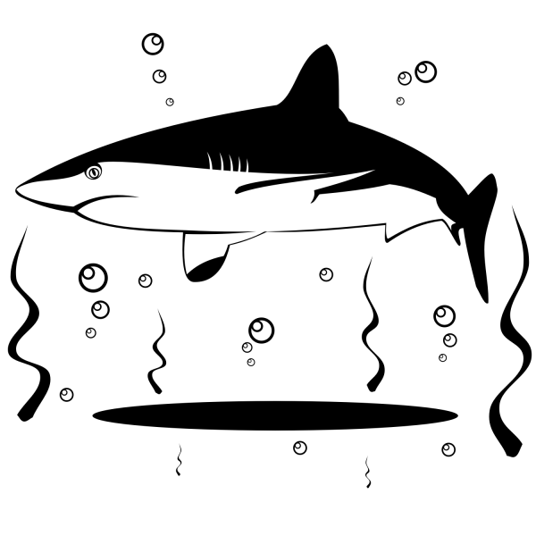 Vector de tiburón