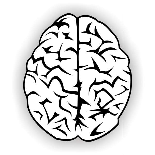 Brain vector free - Vector download