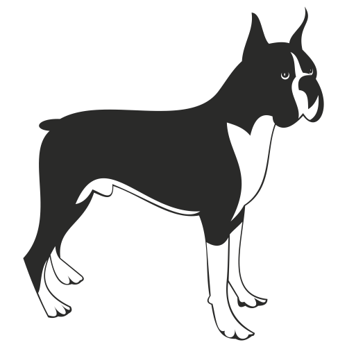 Download Boxer dog vector - Vector download