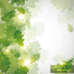 Luz solar brillante con hojas verdes en el frente