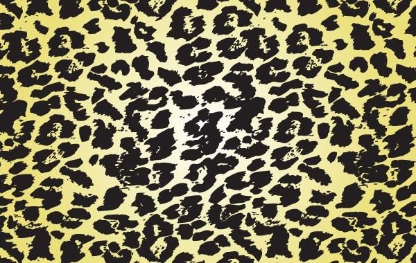 Vector de salpicadura de leopardo Vector de salpicadura de leopardo